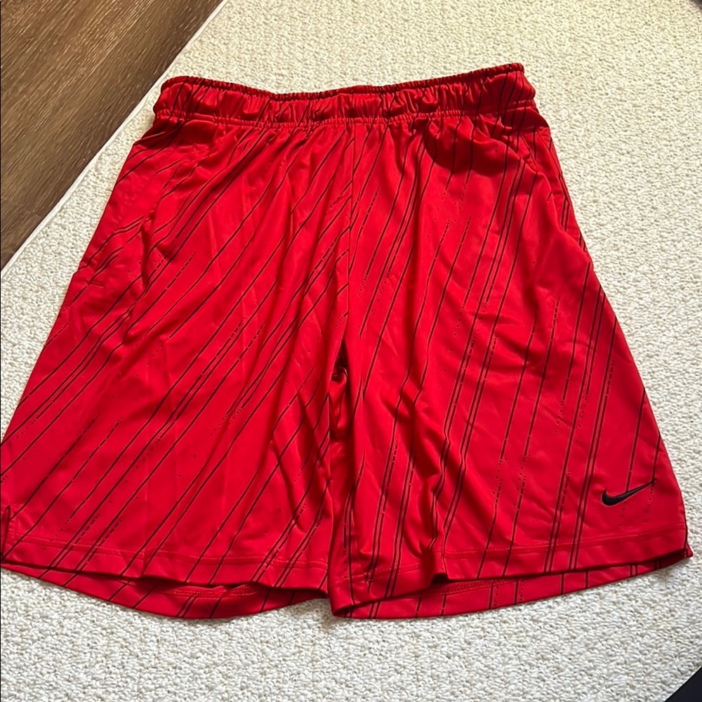 Nike Men's Red Athletic dri-fit Shorts